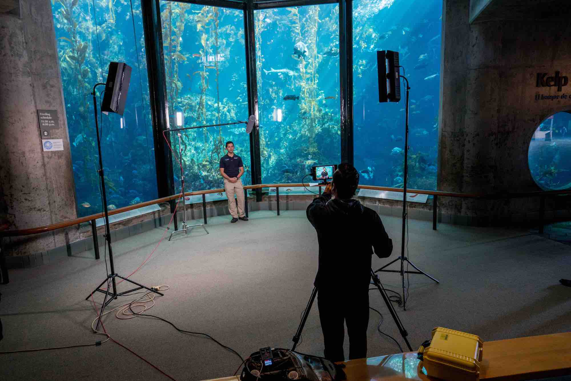 Monterey Bay Aquarium Video Production